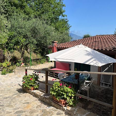Casa Vacanze Alfano Ascea Exterior foto