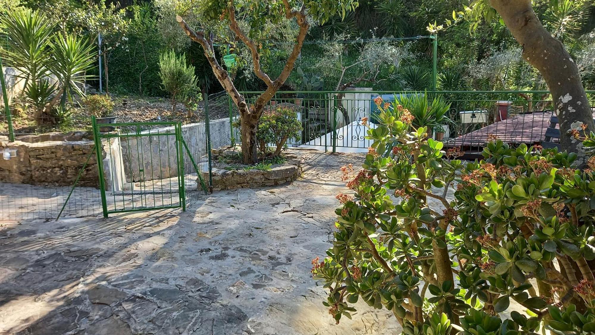 Casa Vacanze Alfano Ascea Zimmer foto